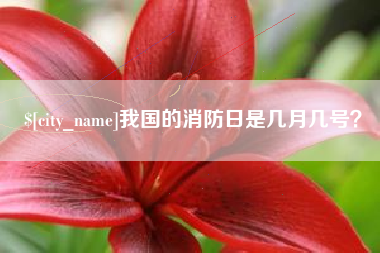 九江我国的消防日是几月几号？