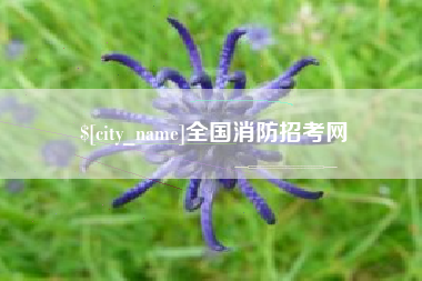 九江全国消防招考网