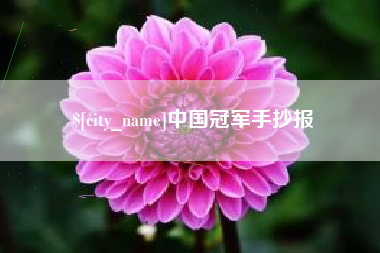 九江中国冠军手抄报