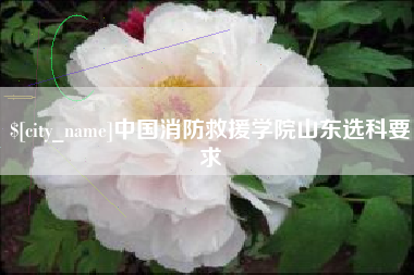 九江中国消防救援学院山东选科要求