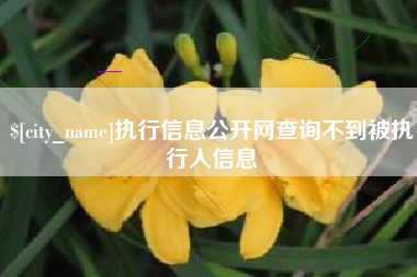 九江执行信息公开网查询不到被执行人信息