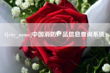 九江中国消防产品信息查询系统1
