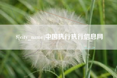 九江中国执行执行信息网