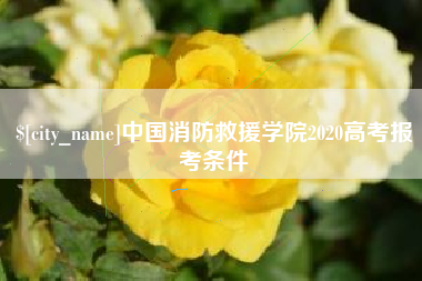 九江中国消防救援学院2020高考报考条件