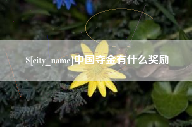 九江中国夺金有什么奖励