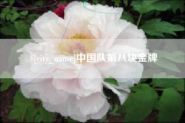 九江中国队第八块金牌