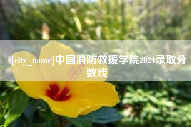 九江中国消防救援学院2021录取分数线