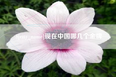 九江现在中国哪几个金牌