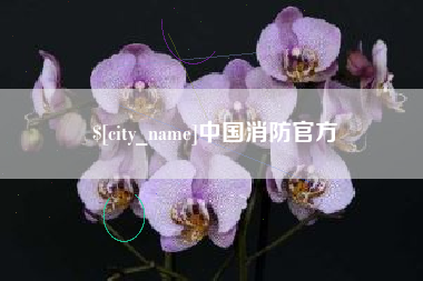 九江中国消防官方