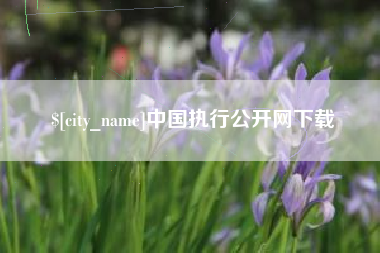 九江中国执行公开网下载