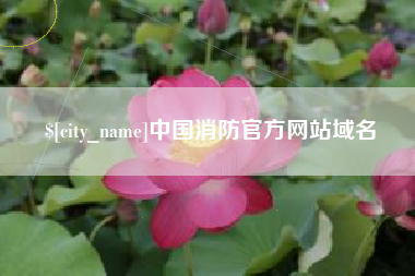 九江中国消防官方网站域名