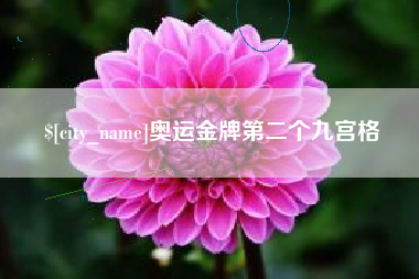 九江奥运金牌第二个九宫格