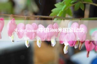 九江中国5000米国家记录