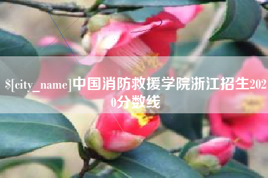 九江中国消防救援学院浙江招生2020分数线