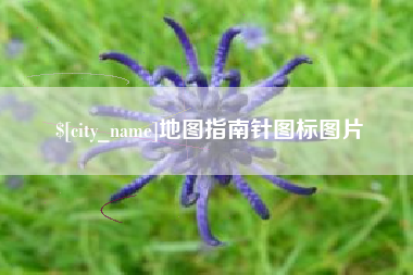 九江地图指南针图标图片