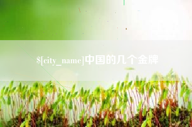 九江中国的几个金牌
