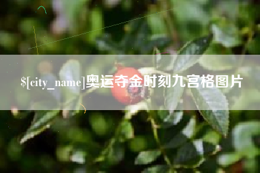 九江奥运夺金时刻九宫格图片
