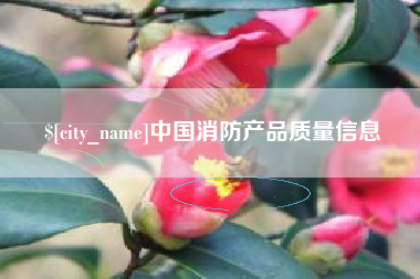 九江中国消防产品质量信息