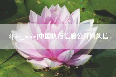 九江中国执行信息公开网失信
