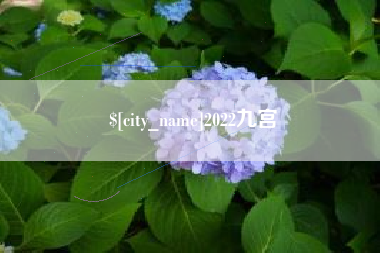 九江2022九宫