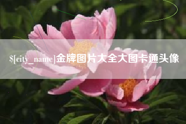 九江金牌图片大全大图卡通头像